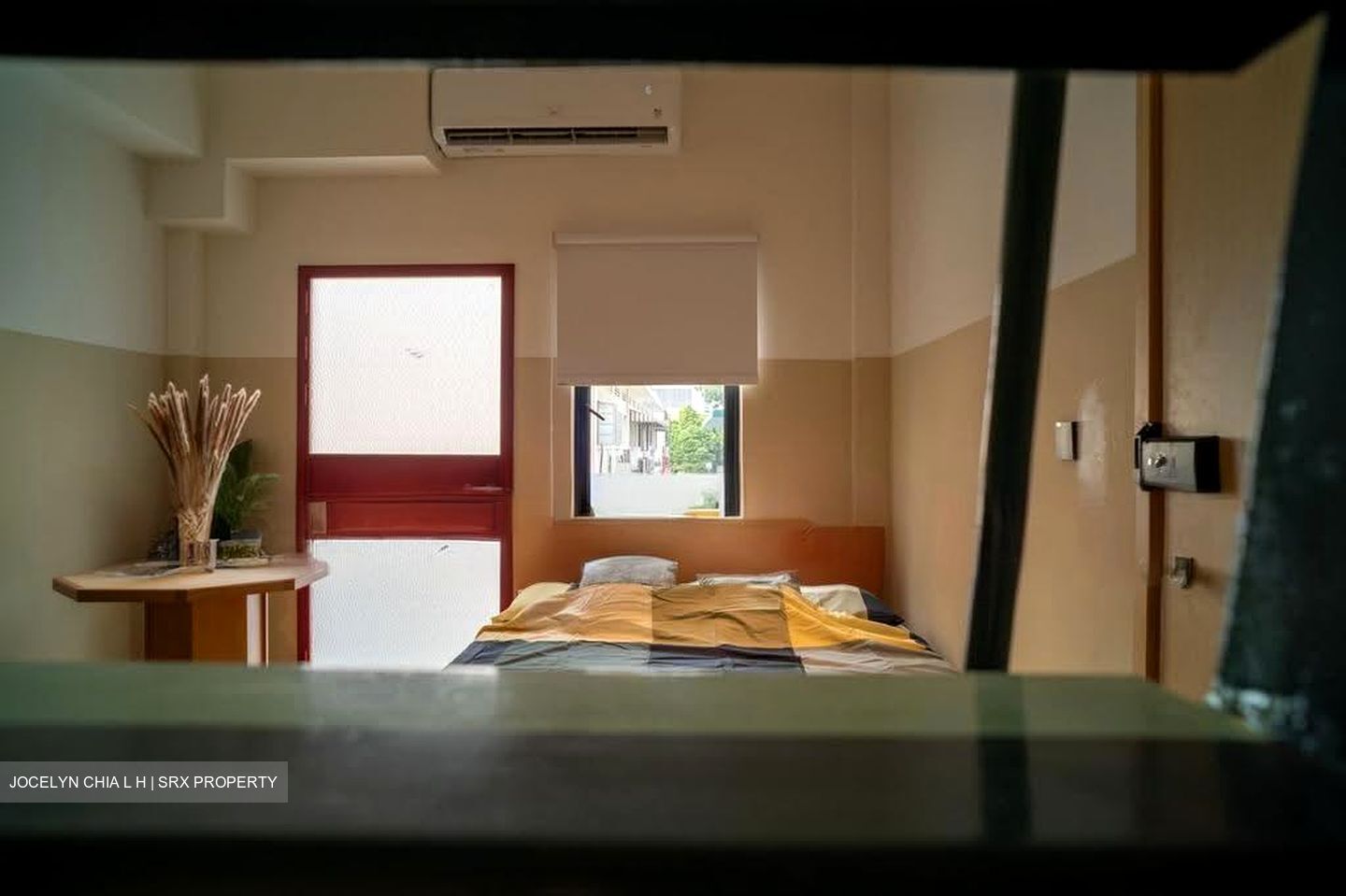 Joo Chiat Road (D15), Apartment #629726671